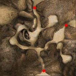 Bandit Lands's image