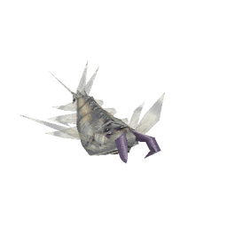 Anomalocaris