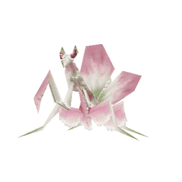 Floral Mantis