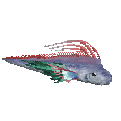 Oarfish